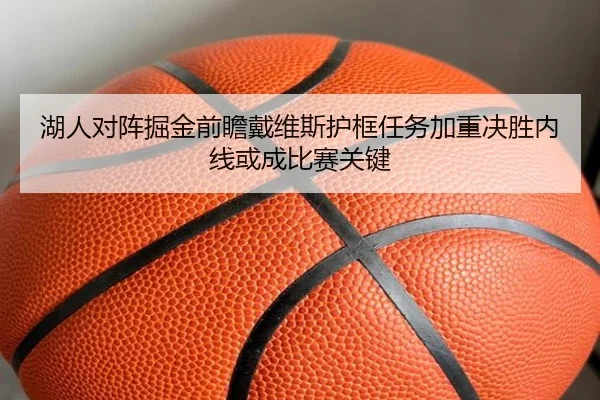 湖人对阵掘金前瞻戴维斯护框任务加重决胜内线或成比赛关键